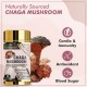 Vitaminnica Chaga Mushroom 500mg Capsules 60's