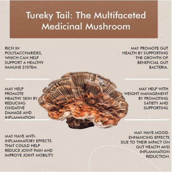 Vitaminnica Turkey Tail Mushroom 500mg Capsules 60's